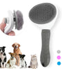 Pet Hair Remove Brush